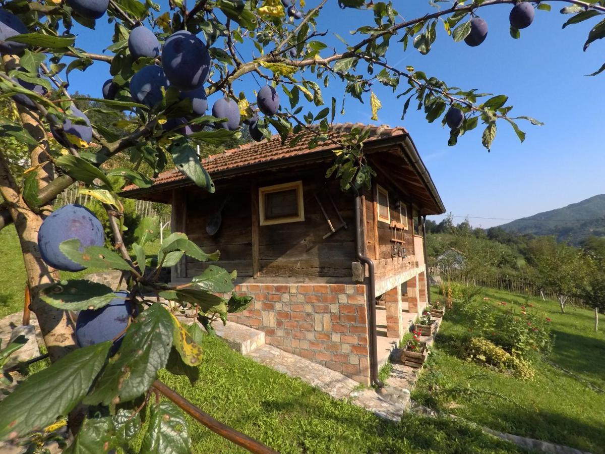 Bogutovac Ethno Village Bogut المظهر الخارجي الصورة