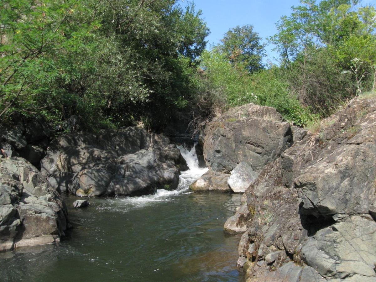 Bogutovac Ethno Village Bogut المظهر الخارجي الصورة