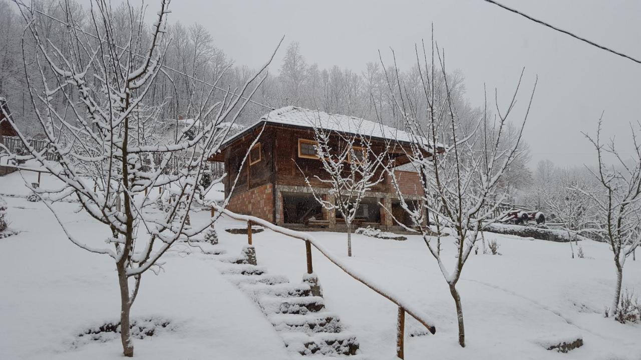 Bogutovac Ethno Village Bogut المظهر الخارجي الصورة
