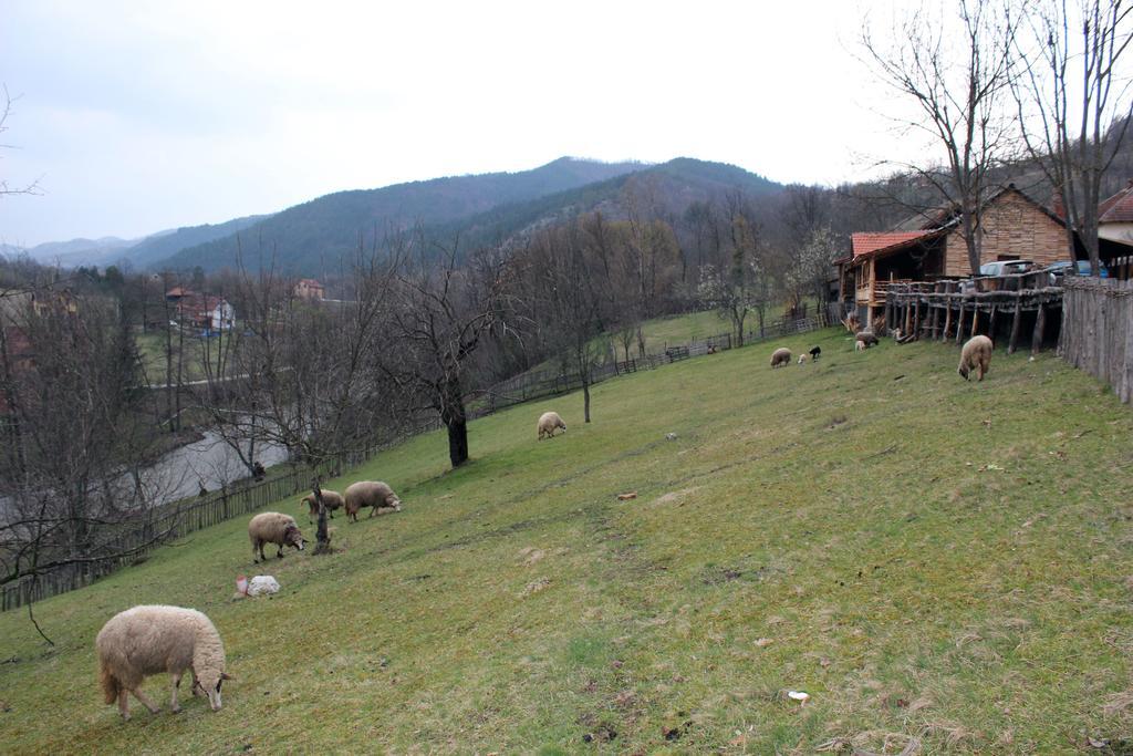 Bogutovac Ethno Village Bogut المظهر الخارجي الصورة